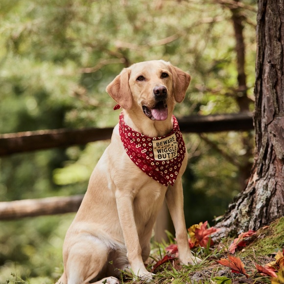 NWT Altar'd State Beware of Wiggle Butts Dog Cat Pet Bandana Red - Picture 6 of 9